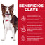 Hill's Science Diet Perfect Digestion Alimento de Cuidado Digestivo para Perro Adulto, Sabor Pollo 5.4Kg