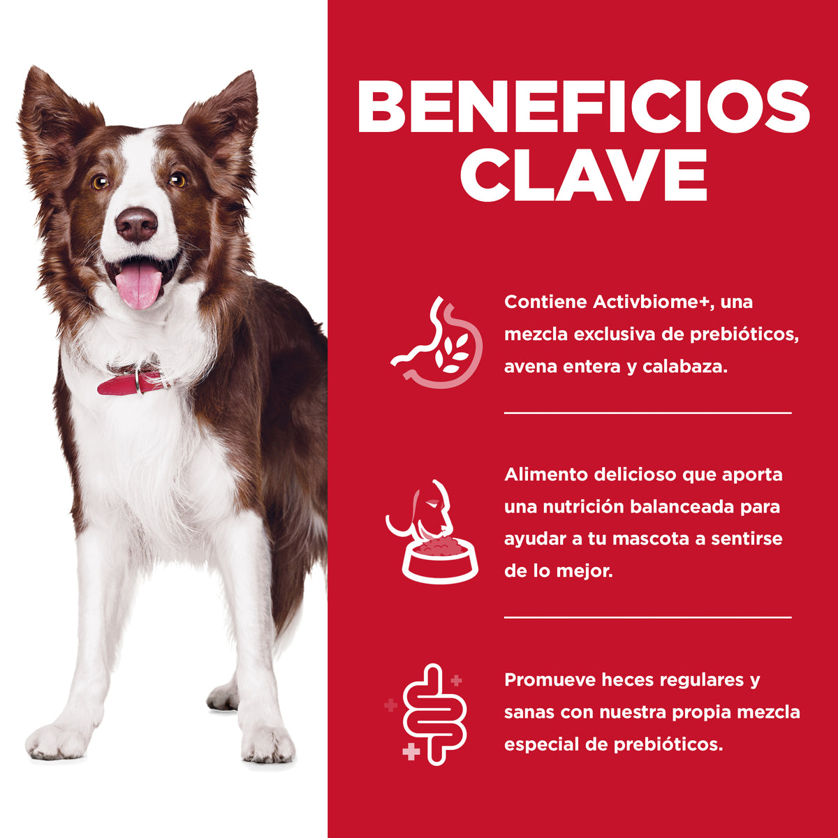 Hill's Science Diet Perfect Digestion Alimento de Cuidado Digestivo para Perro Adulto, Sabor Pollo 5.4Kg