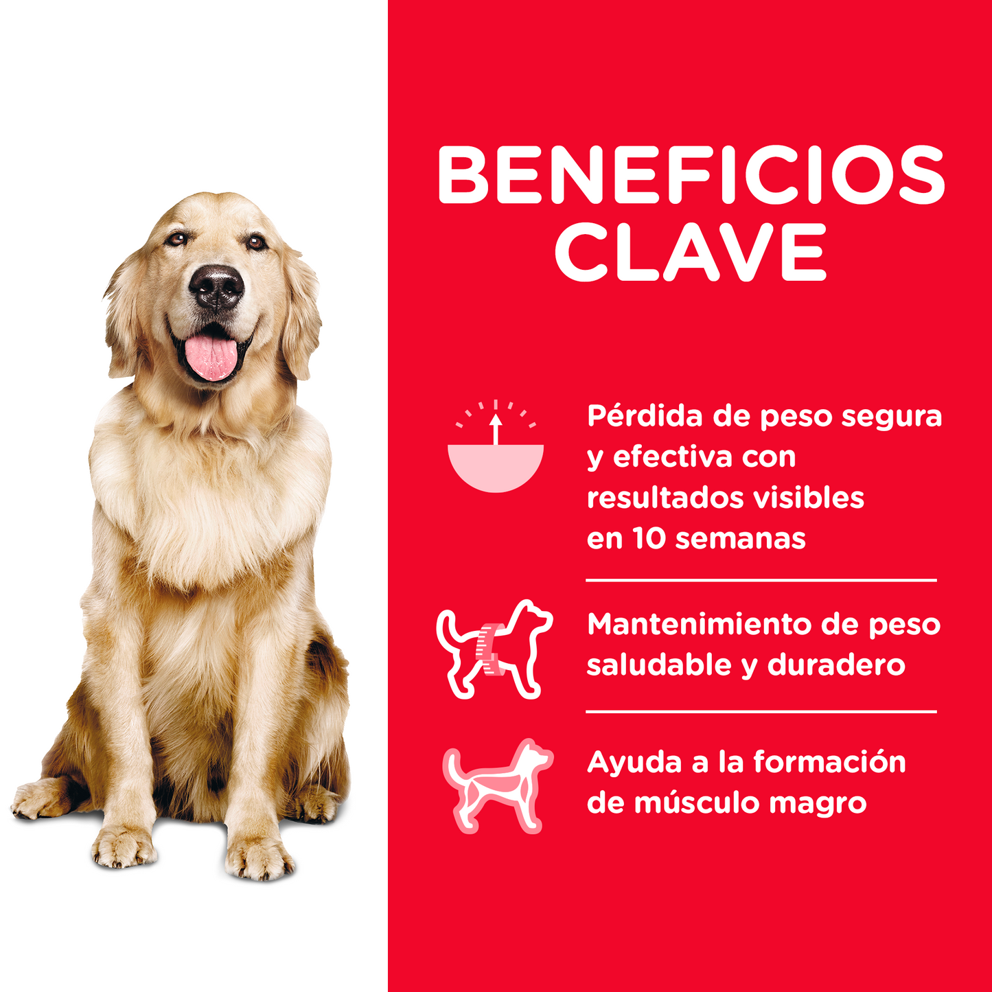 Hill's Science Diet Perfect Weight Alimento de Control de Peso para Perro Adulto 1.8Kg