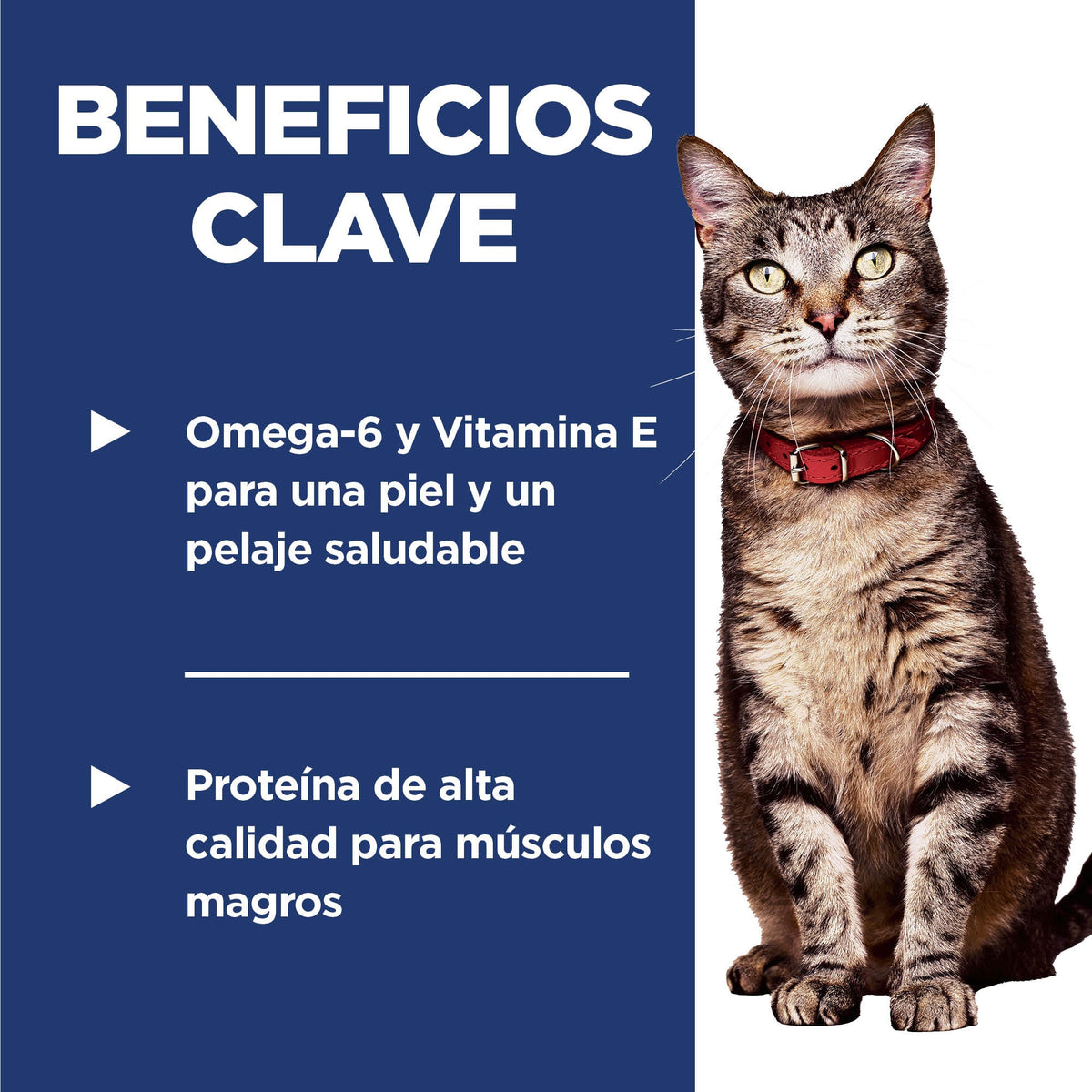 Hill's Science Diet Croquetas Gato Adulto Sabor Salmón 1.5Kg