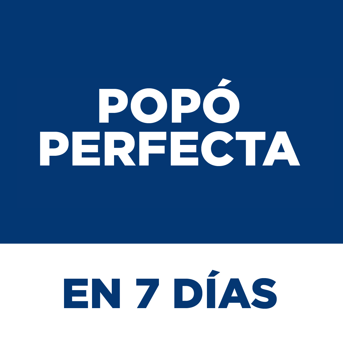 Hill's Science Diet Perfect Digestion Small and Mini, Cuidado digestivo para perros adultos pequeños y mini, 5.4 kg (