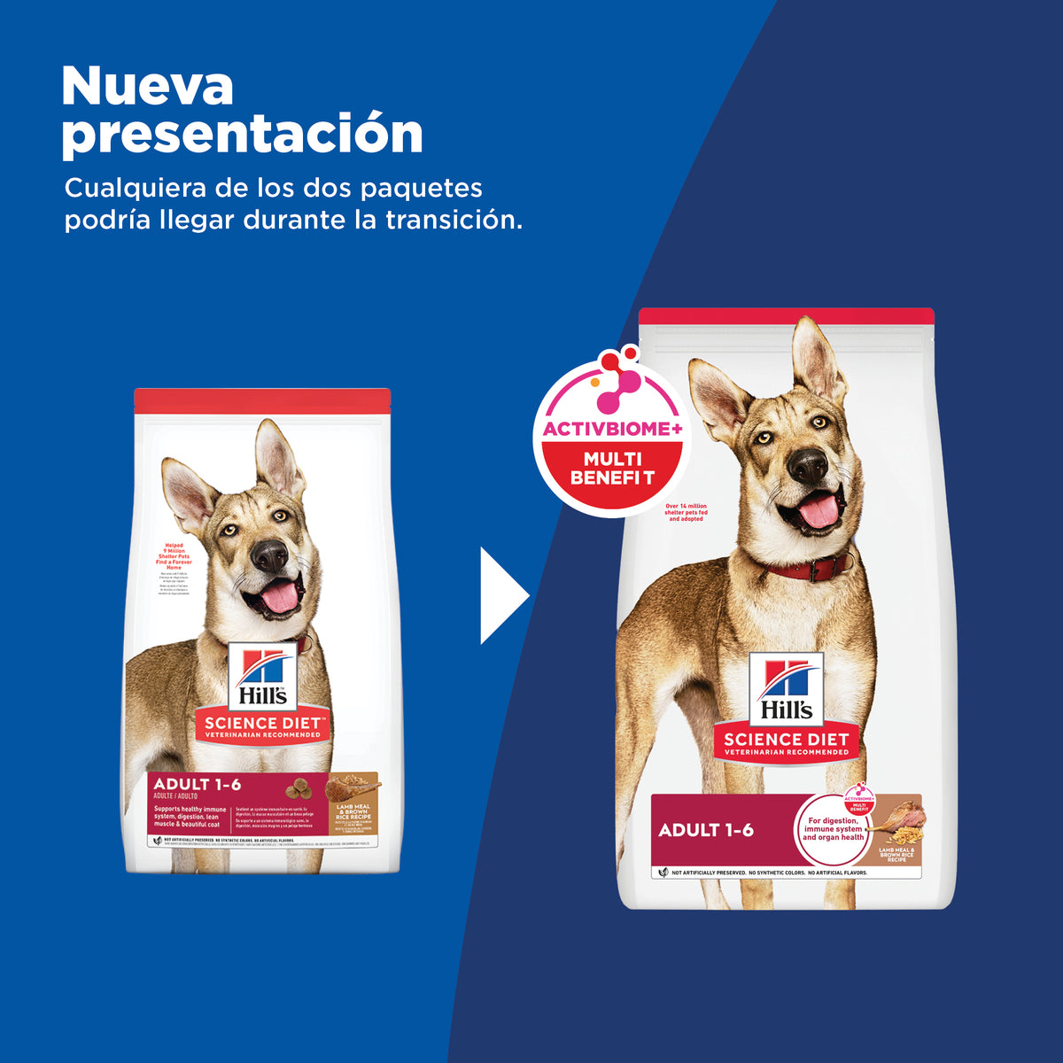 Hill's Adulto Cordero y Arroz Integral para Perro 15 Kg