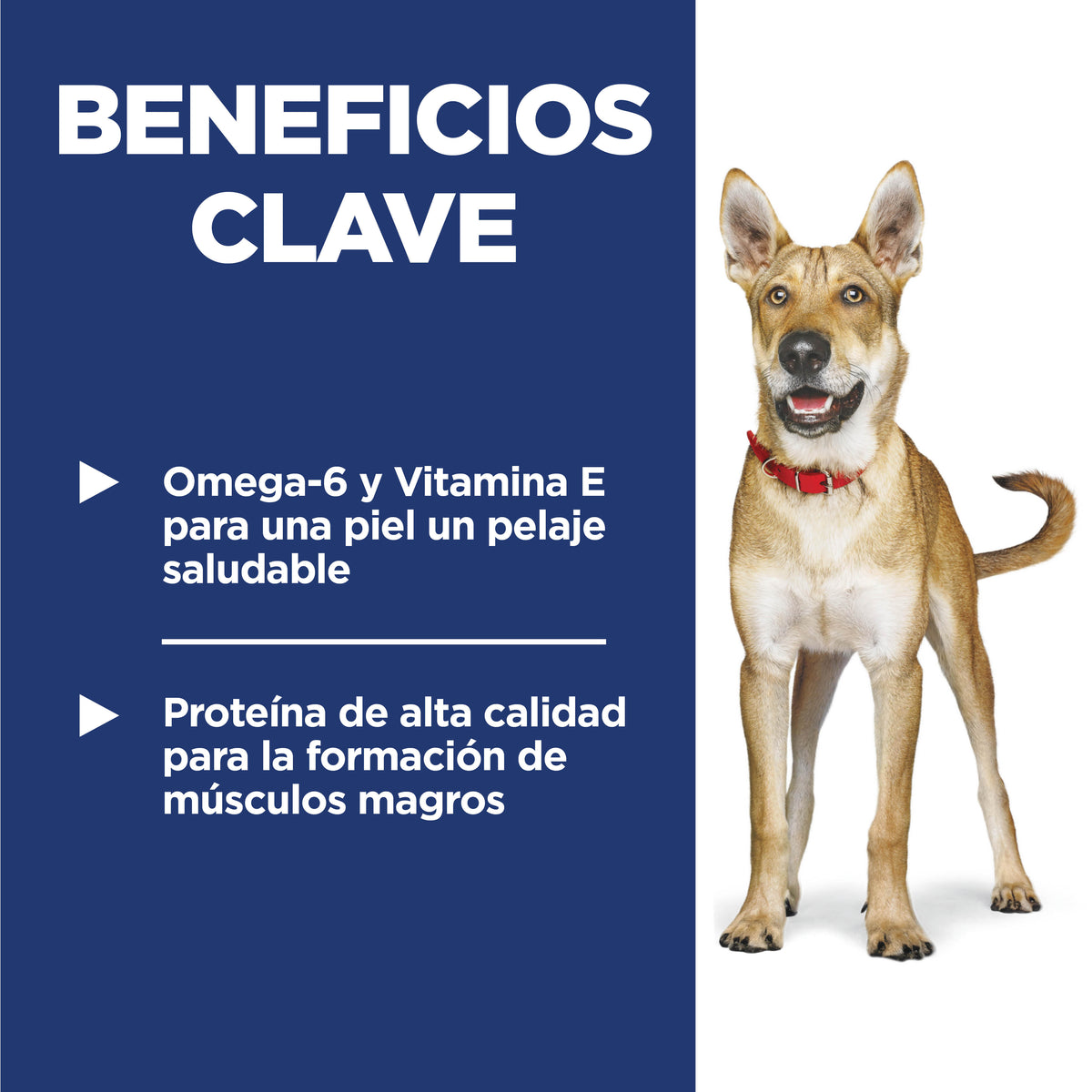 Hill's Adulto Cordero y Arroz Integral para Perro 15 Kg