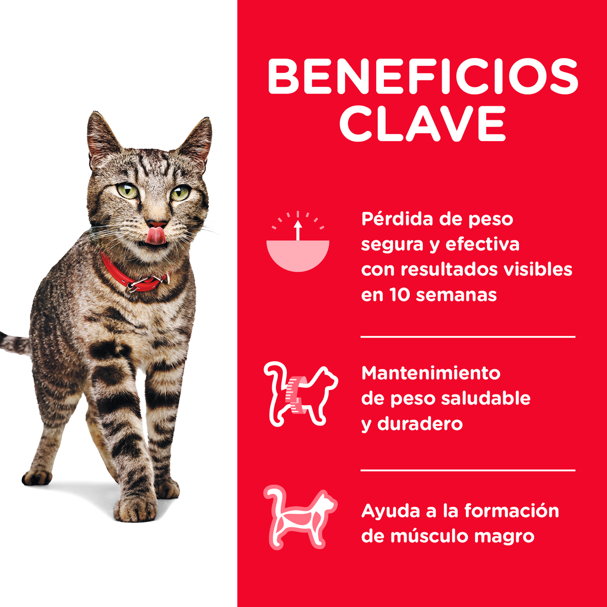 Hill's Science Diet Croquetas Gato Perfect Weight 1.4Kg