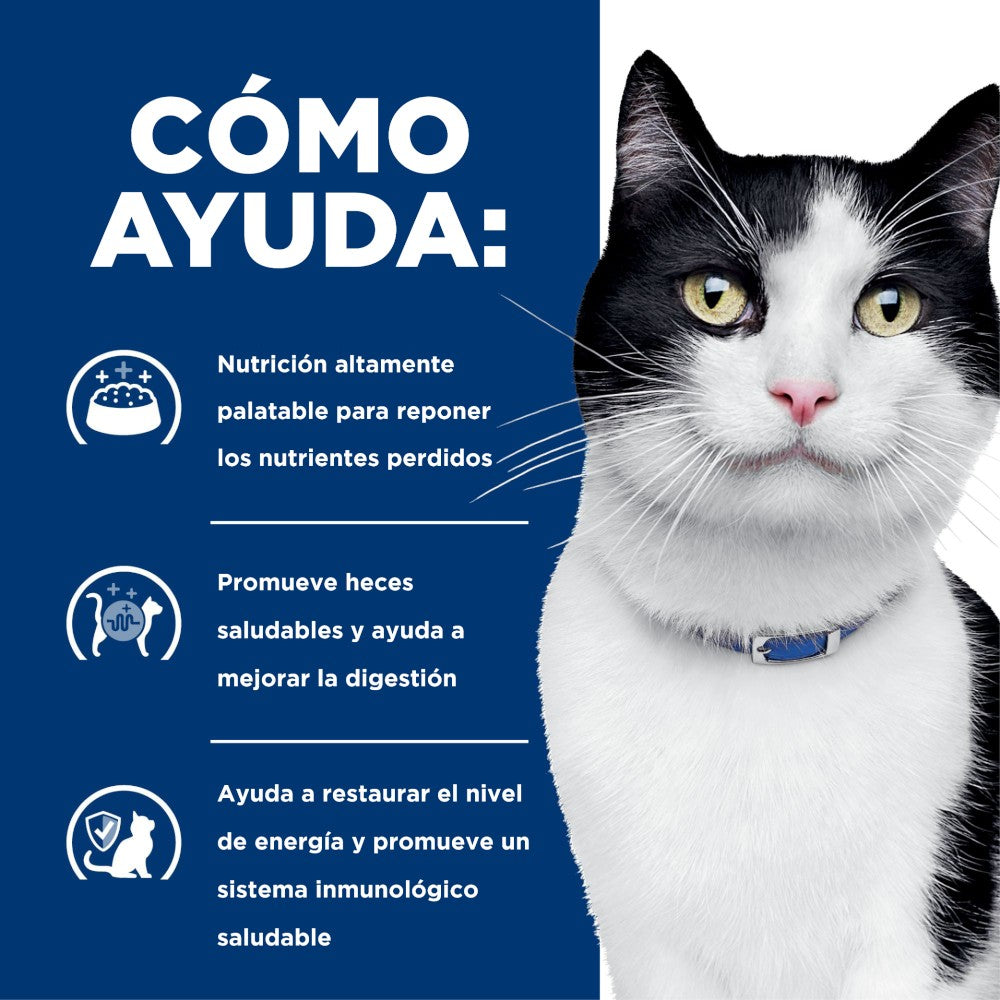 Lata Hill's Prescription Diet i/d, Cuidado Digestivo, para Gato, 156 g