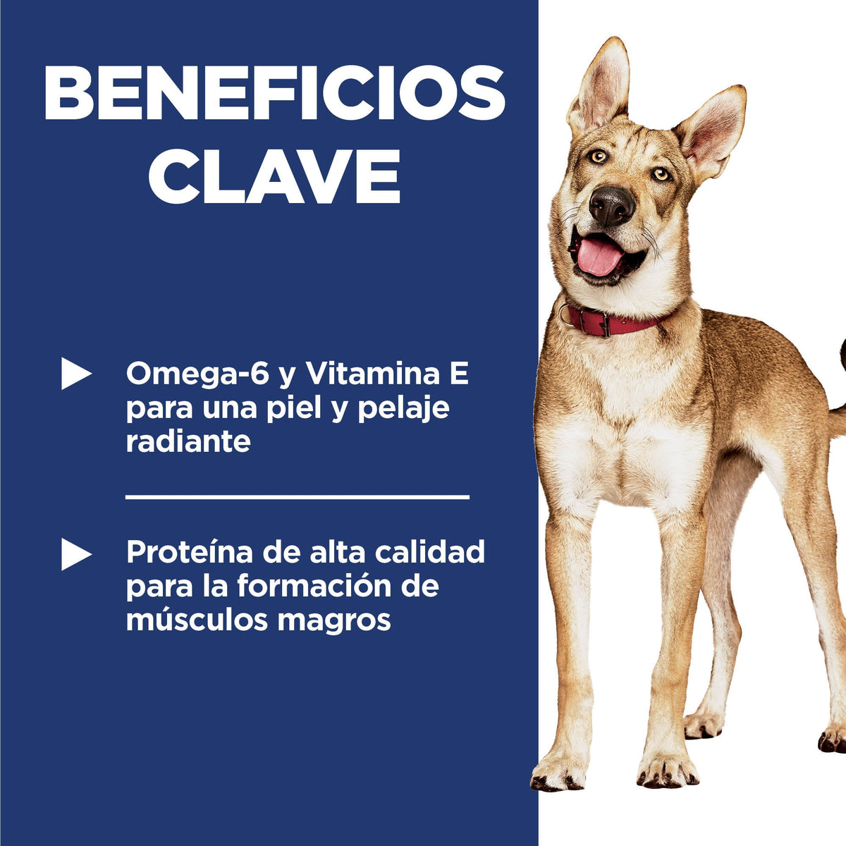 Hill's Science Diet Adulto Original Sabor Pollo para Perro 7.5Kg