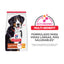 Hill's Science Diet Adult Large Breed Alimento para Perro Adulto raza grande 15 Kg