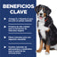 Hill's Science Diet Adult Large Breed Alimento para Perro Adulto raza grande 15 Kg