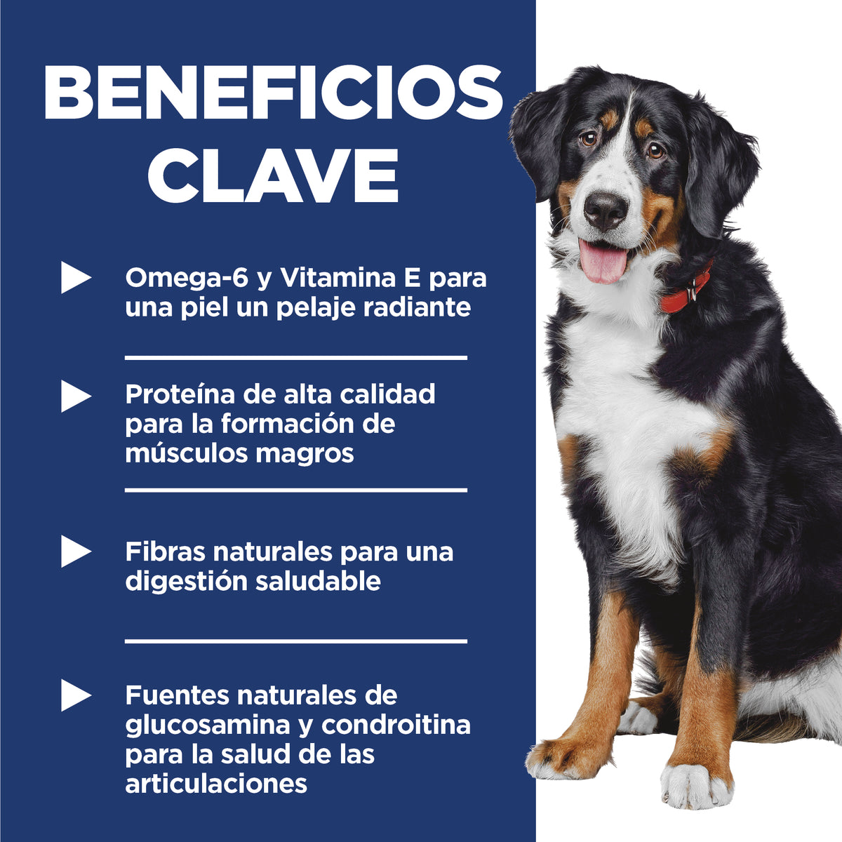 Hill's Science Diet Adult Large Breed Alimento para Perro Adulto raza grande 15 Kg