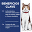 Hill's Science Diet Croquetas Gato Senior Sabor Pollo 7.3Kg