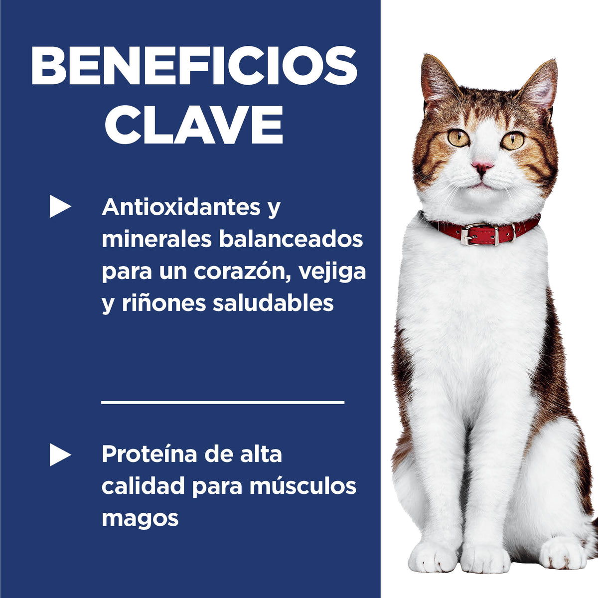 Hill's Science Diet Croquetas Gato Senior Sabor Pollo 7.3Kg