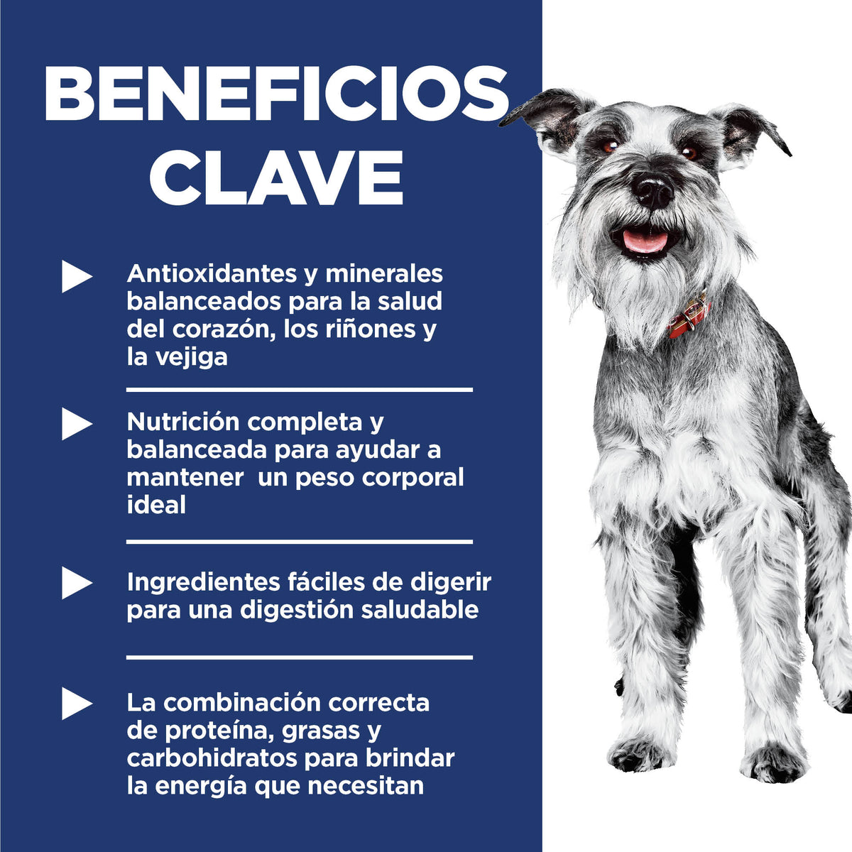 Hill's Science Diet Croquetas Perro Senior Small and Mini 2Kg