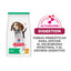 Hill's Science Diet Croquetas Puppy Original Pollo 7Kg