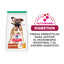 Hill's Science Diet Puppy Large Breed, Alimento para Perro Cachorro Razas Grande Sabor Pollo 7Kg