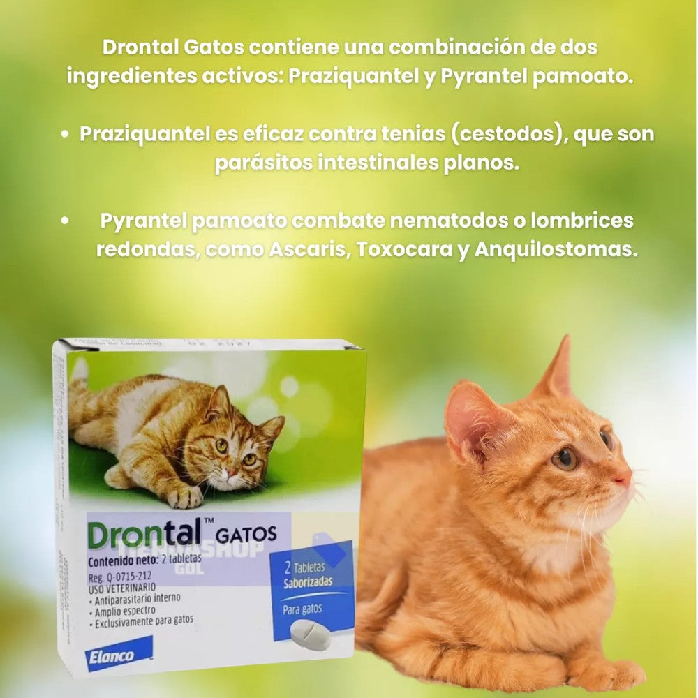 Drontal Gatos 2 Tabletas Saborizadas, Elanco