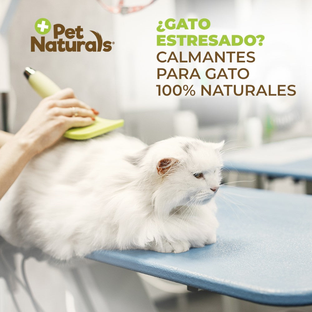 Calmantes Naturales para Gato, Sin Sedantes. Forma y Sabor a Premio 21 pz