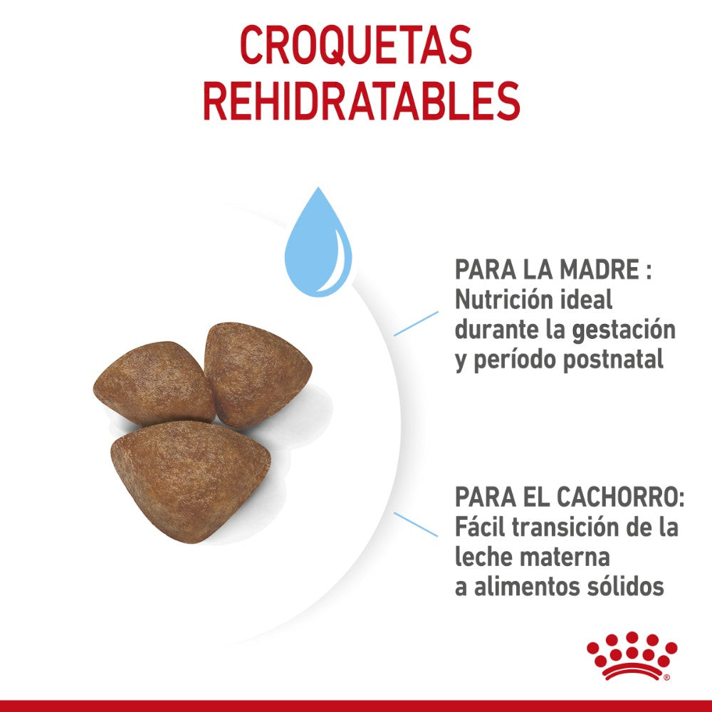 Royal Canin Small Starter Mother and Babydog 1.14Kg