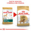 Royal Canin Golden Retriever Adulto 13.6 Kg.