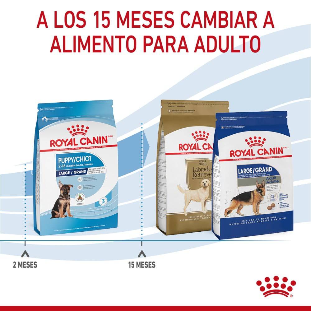 Royal Canin Puppy Large 13.6 kg - AniMALL