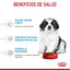 Royal Canin Alimento para Cachorro Giant Puppy 13.6 kg