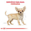 Royal Canin Perro Cachorro Chihuahua 1.1 Kg.