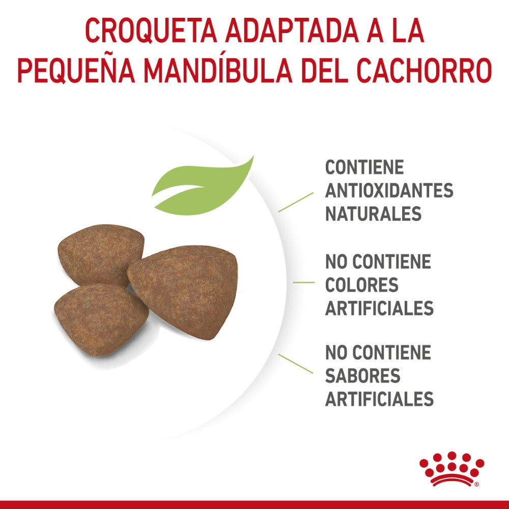 Royal Canin Alimento para Cachorro Small Puppy 1.1 Kg.