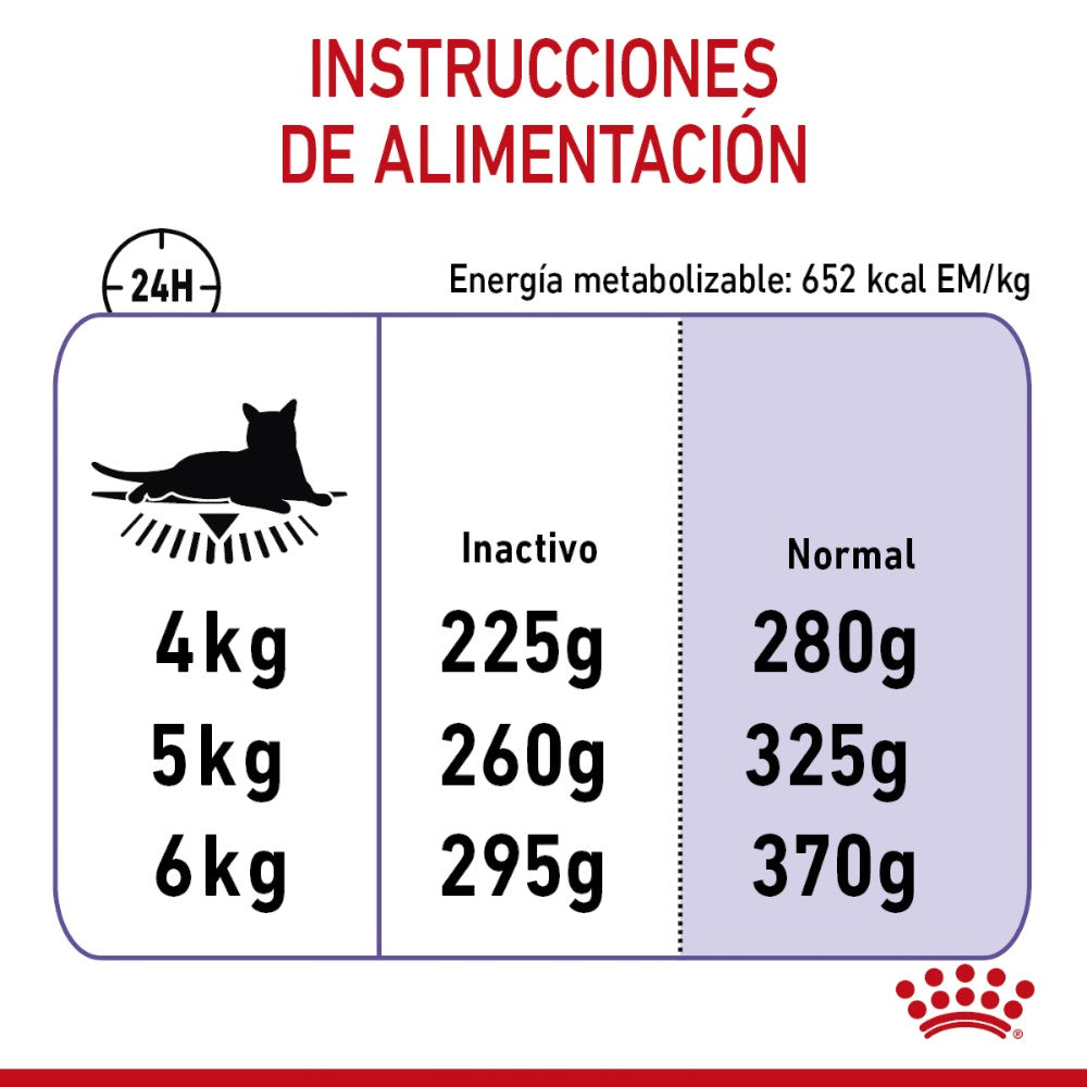 24 Latas Royal Canin Gato Appetite Control 85 gr