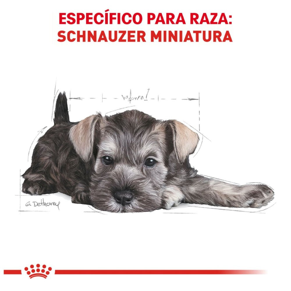 Royal Canin Perro Cachorro Mini Schnauzer 1.1 Kg.