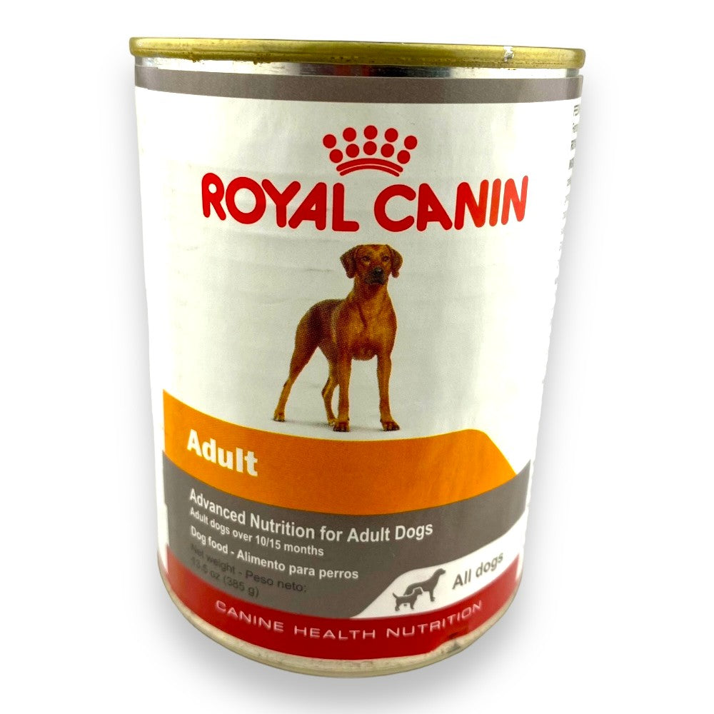 12 latas Royal Canin Wet All Dogs Adult 385 gr