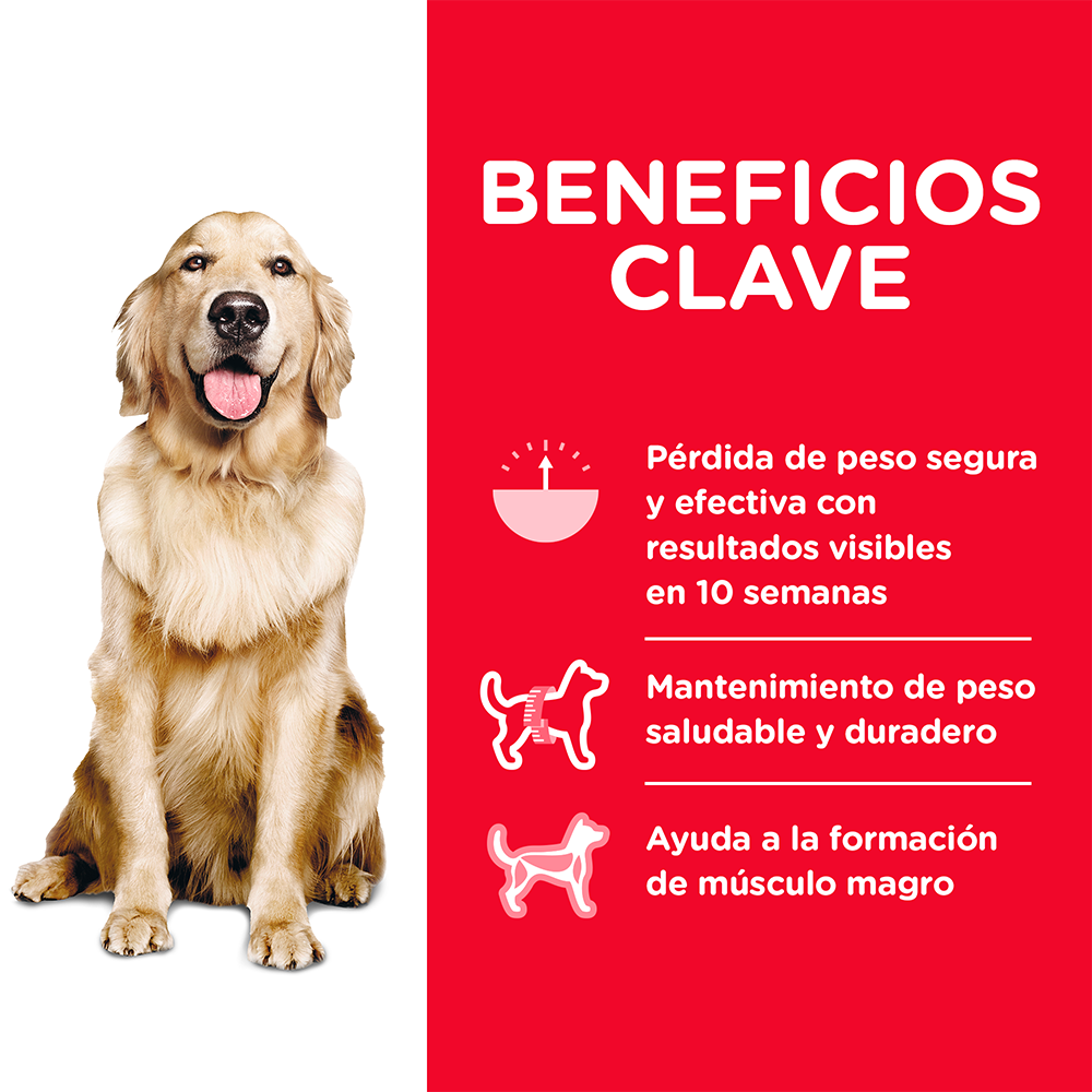 Hill's Science Diet Perfect Weight, alimento de control de peso para perro adulto 11.3Kg