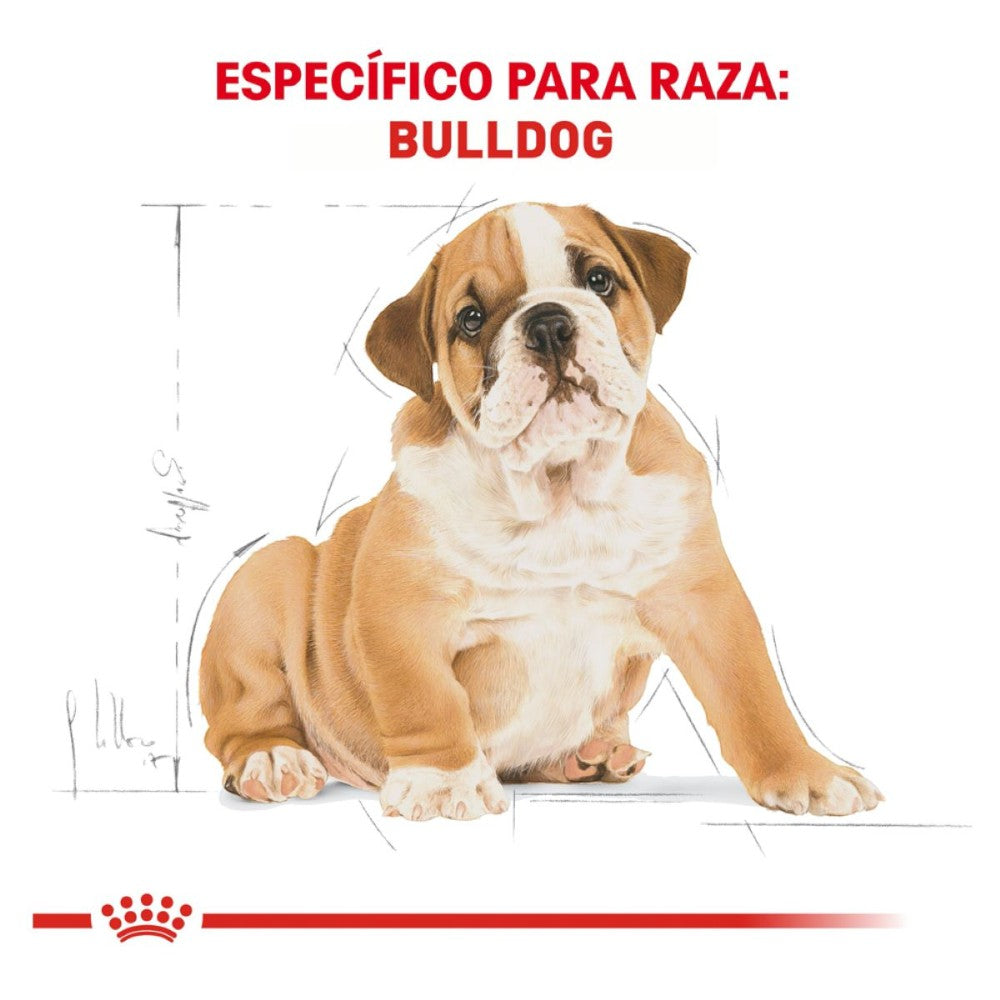 Royal Canin Alimento para Cachorro Bulldog 13.6 kg