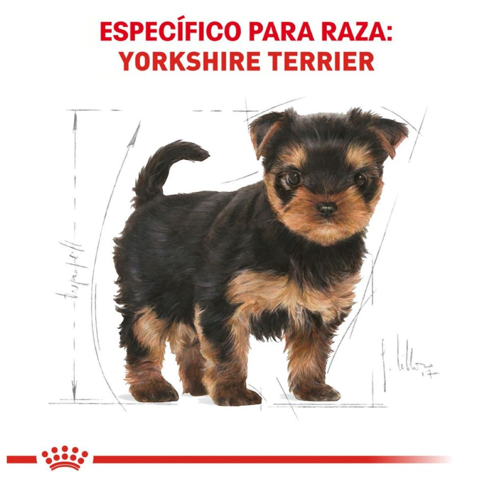 Royal Canin Alimento Seco para Perro Yorkshire Puppy 1 kg