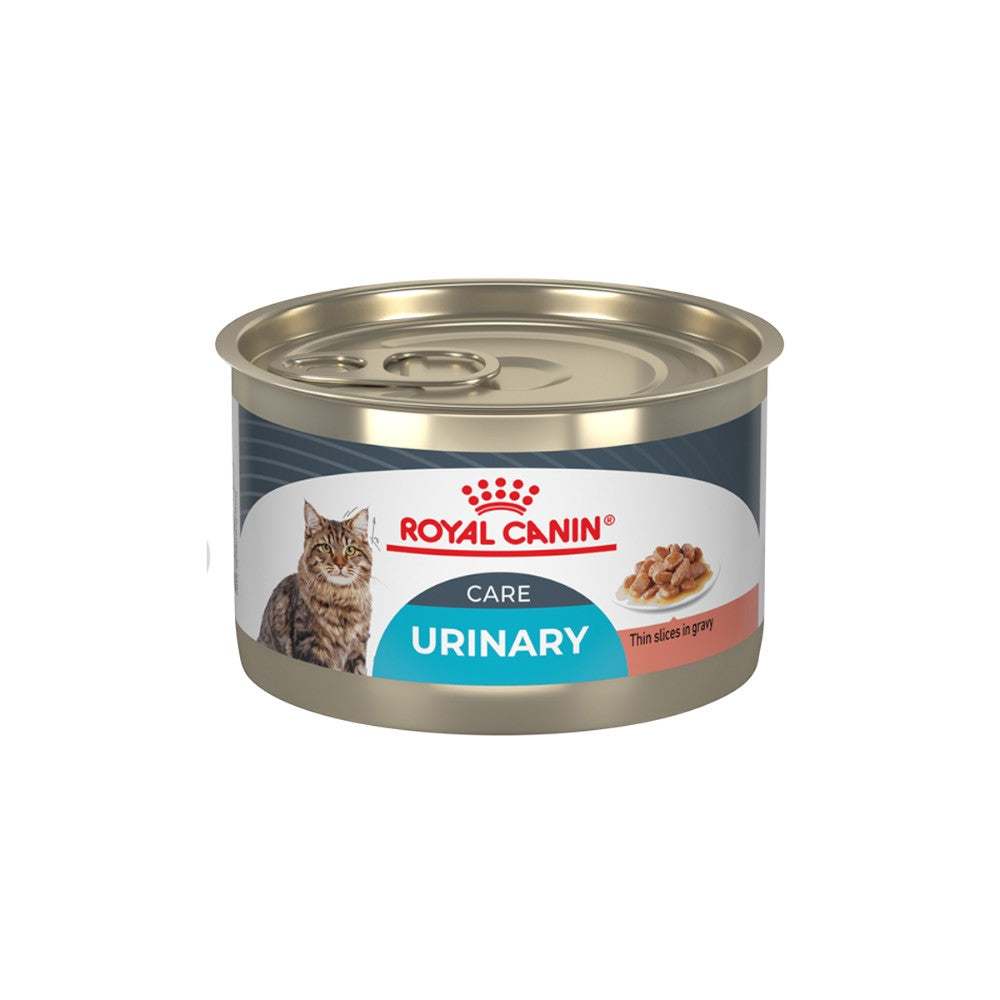 24 Latas Royal Canin Gato Urinary Care 145 gr