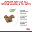 Royal Canin Gato Kitten 341 gr