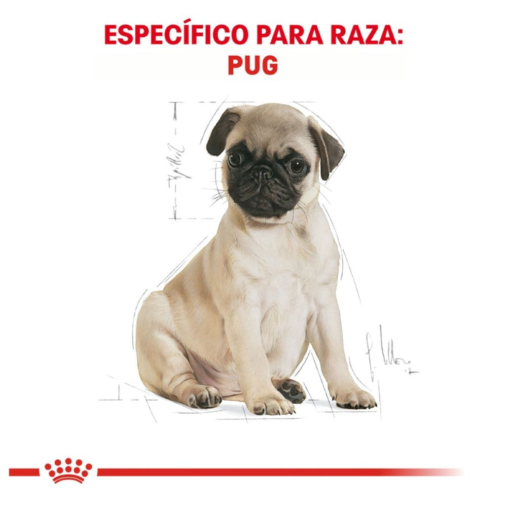 Royal Canin Pug Cachorro 1.1 kg