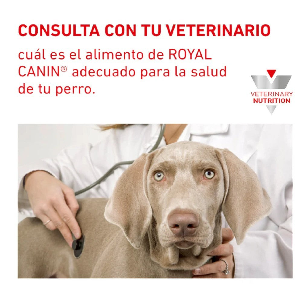 Lata Royal Canin Vet Perro y Gato Recovery 145 gr