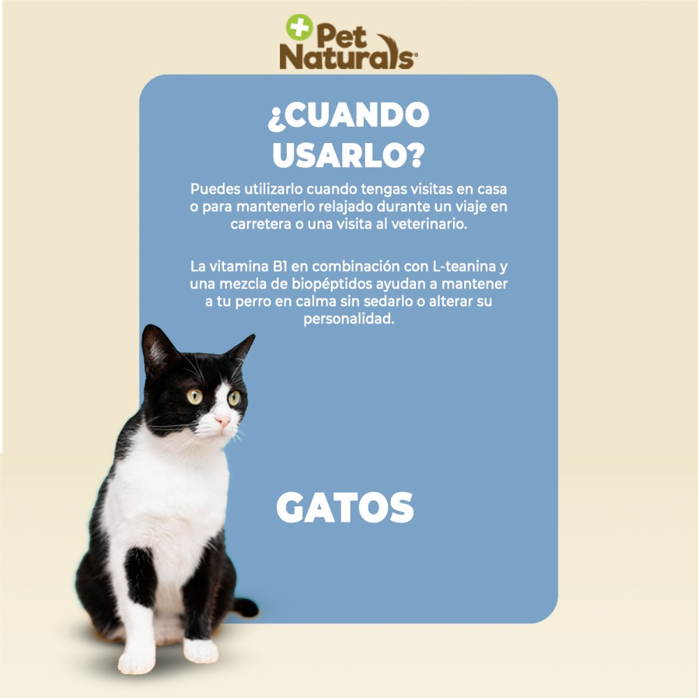 Calmantes Naturales para Gato, Sin Sedantes. Forma y Sabor a Premio 21 pz