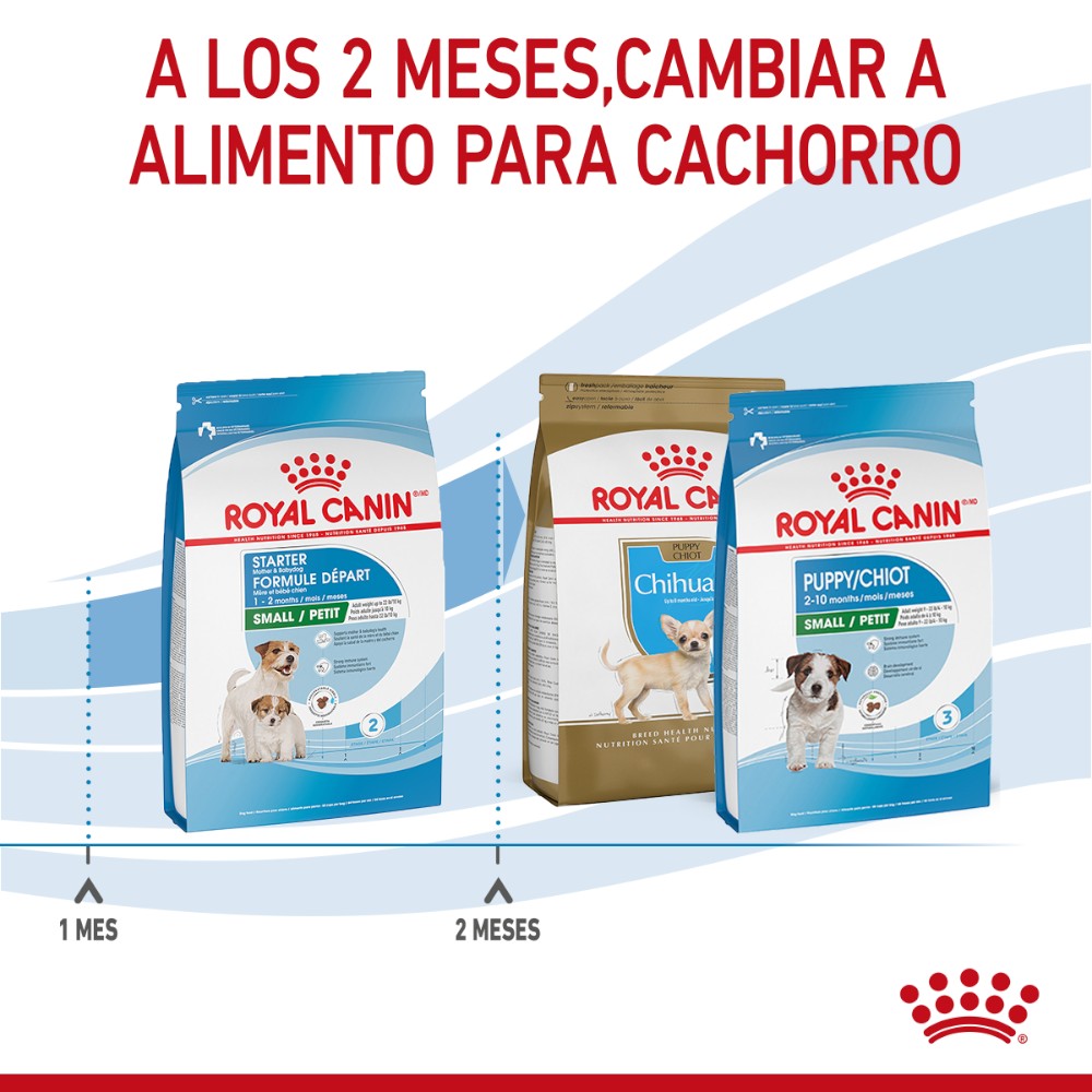 Royal Canin Small Starter Mother and Babydog 1.14Kg