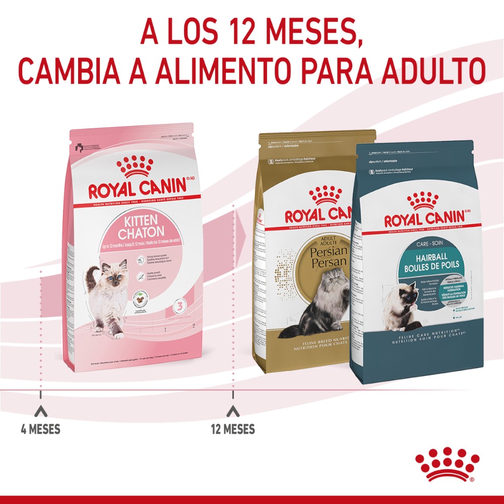 Royal Canin Gato Kitten 341 gr