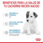 Royal Canin Baby Dog Milk 400 gr