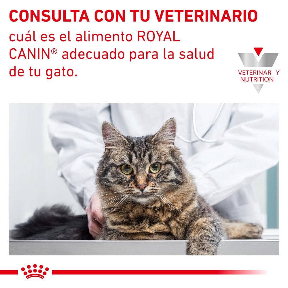 24 Latas Royal Canin Vet Renal Support D Feline 85 gr - AniMALL