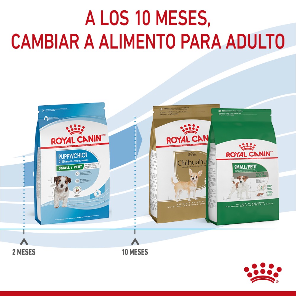 Royal Canin Alimento para Cachorro Small Puppy 1.1 Kg.