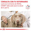 Lata Royal Canin Vet Perro Renal Support D 385 gr - AniMALL