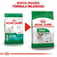 Royal Canin Adulto Mini Razas Pequeñas 6.3 Kg. - AniMALL