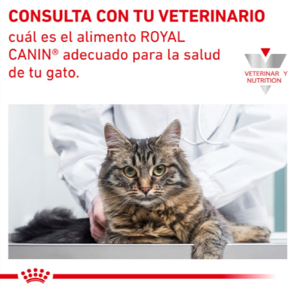 Lata Royal Canin Vet Renal Support D Feline 85 gr