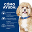 Hill's Prescription Diet h/d, Cuidado Cardiaco, para Perro, 8 Kg