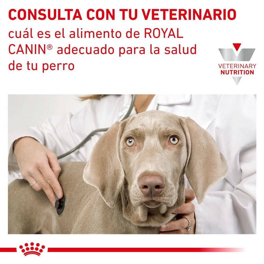 12 Latas Royal Canin Vet Urinary SO Moderate Calorie 355 gr - AniMALL