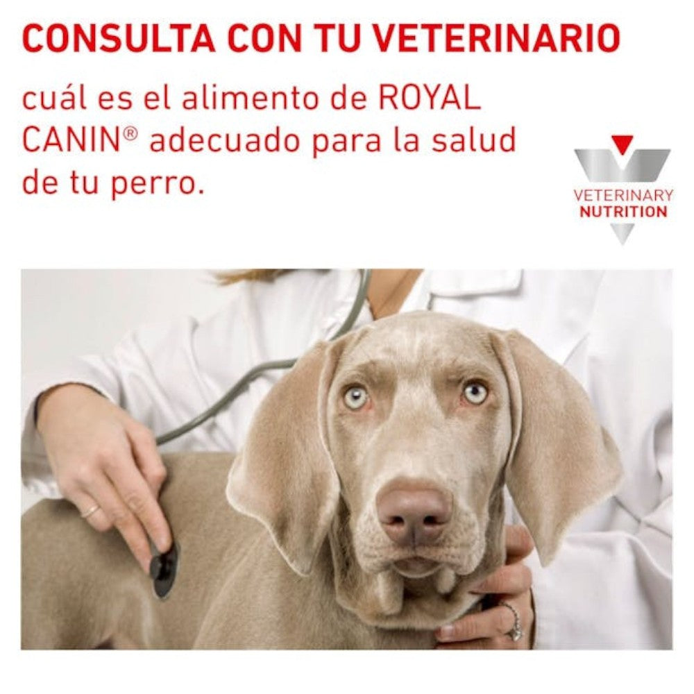 12 Latas Royal Canin Vet Perro Hepatic 390 gr