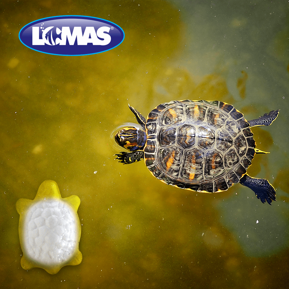 Calcio para Tortuga con Vitamina A 1 Pieza - AniMALL