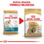 Royal Canin Shih Tzu Adulto 4.5 kg